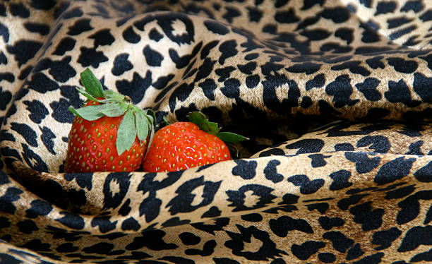 Strawberries and leopard stock photo