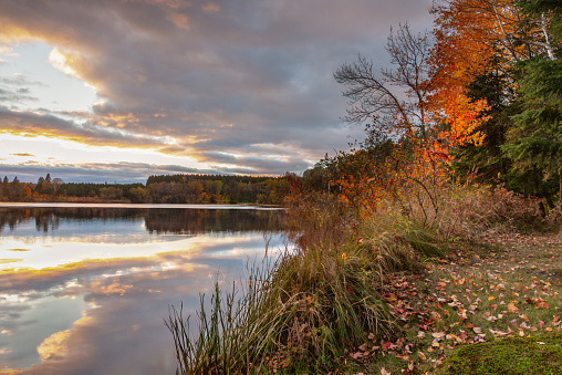 Fall colored foliage along water’s edges. Clouds reflecting in Minnesota lake water. Grand Rapids