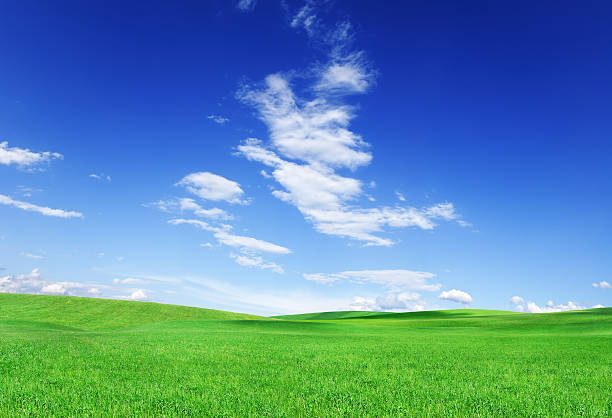 istock A panoramic photo of rolling green grass and a blue sky  172685584