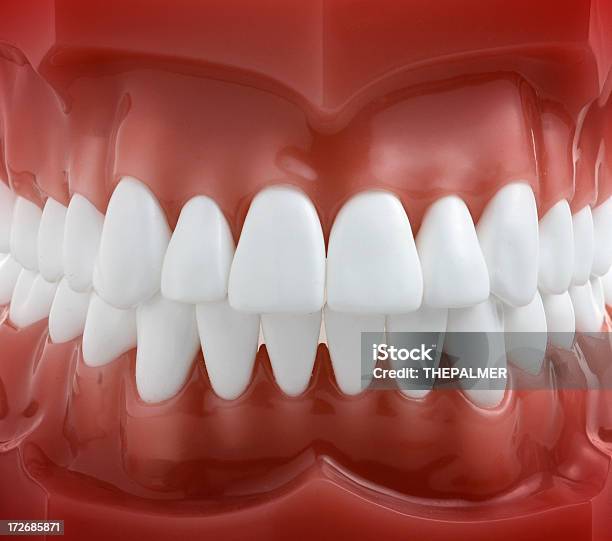 私の一番の笑顔 - ヒトの口のストックフォトや画像を多数ご用意 - ヒトの口, ヒトの歯, ヒトの歯茎