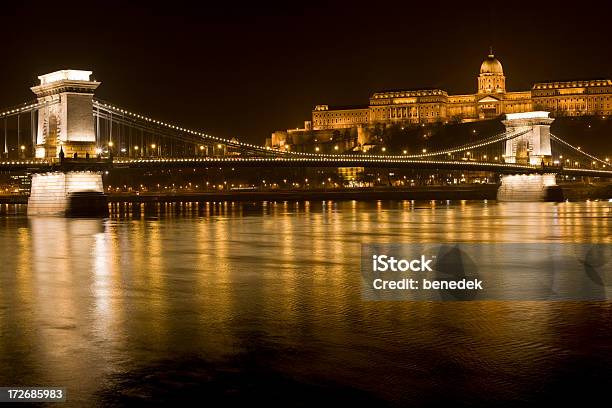 Ponte Das Correntes Palácio Real E Danúbio Em Budapeste - Fotografias de stock e mais imagens de Palácio Real de Buda