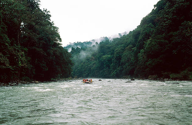뗏목 코스타리카 - teamwork river rafting costa rica 뉴스 사진 이미지