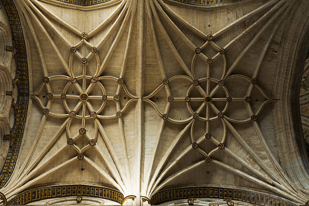 istock Cathedral of Salamanca 172686472