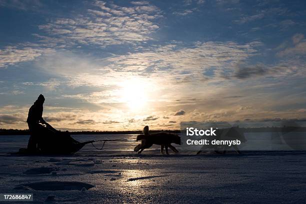 Hundeschlittenfahren In Minnesota Stockfoto und mehr Bilder von Inuit - Inuit, Hundeschlittenfahren, Schlitten - Tierantrieb