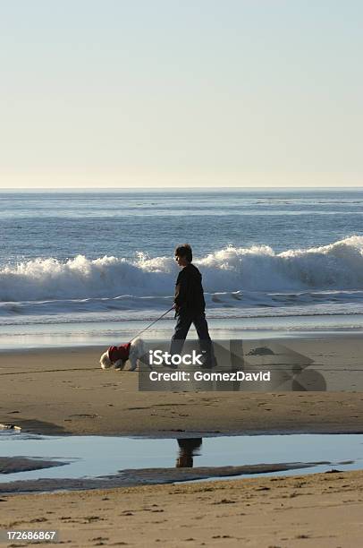 해변의 남자아이 그의 경견 개에 대한 스톡 사진 및 기타 이미지 - 개, 겨울, 라틴 아메리카 히스패닉 민족