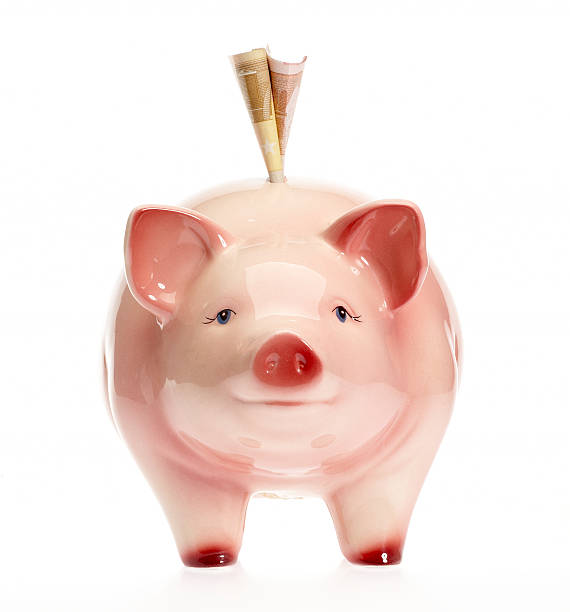 istock Piggybank with Euro 172686919