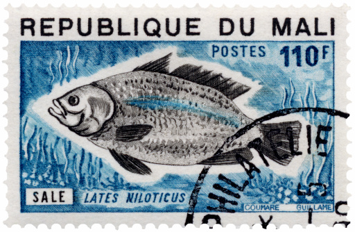 Cancelled Stamp From Madagascar Featuring The Betta Splendens Commonly Known As The Siamese Fighting Fish.