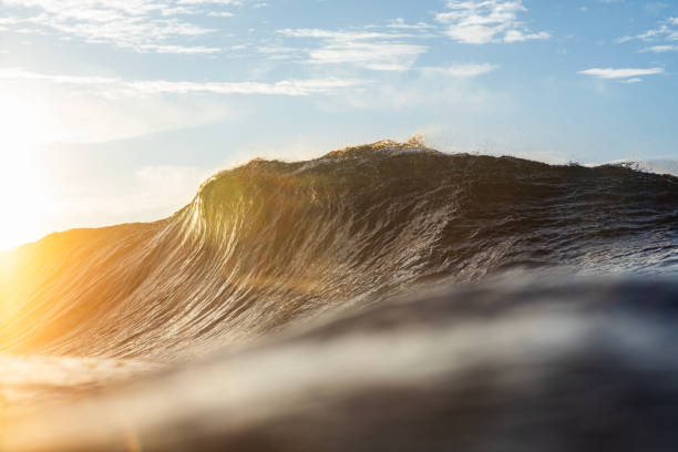 istock Backlit ocean wave breaking in bright golden morning light 1726875958