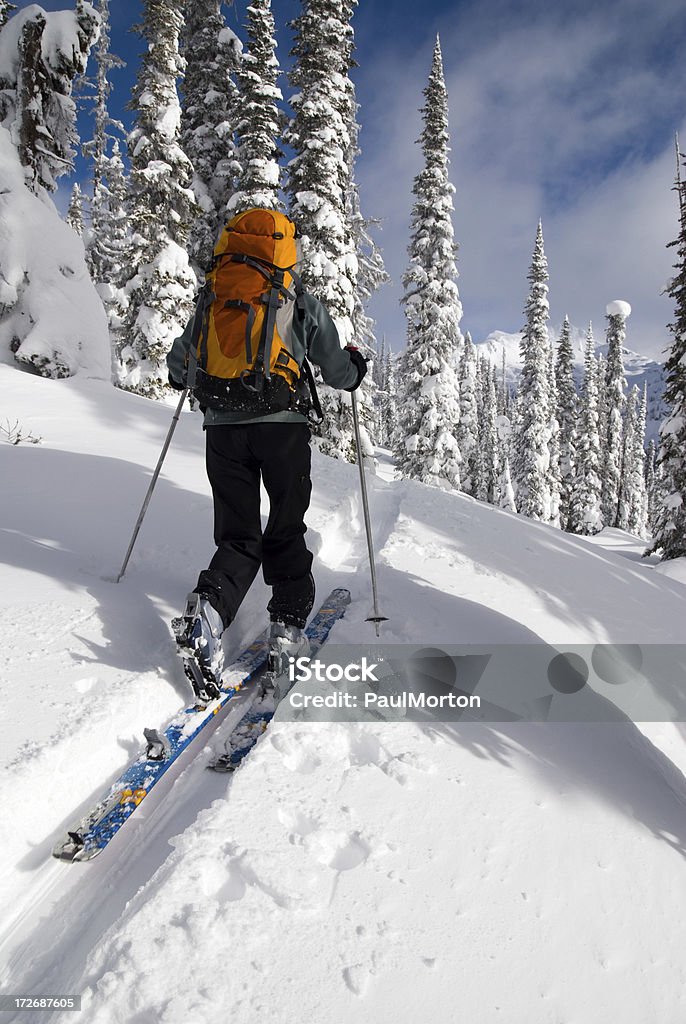 На лыжах Uptrack райдершей, - Стоковые фото Telemark Skiing роялти-фри
