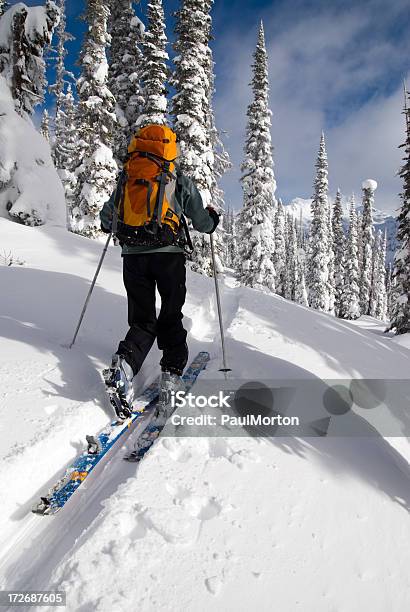 На Лыжах Uptrack Райдершей — стоковые фотографии и другие картинки Telemark Skiing - Telemark Skiing, Британская Колумбия, Вертикальный