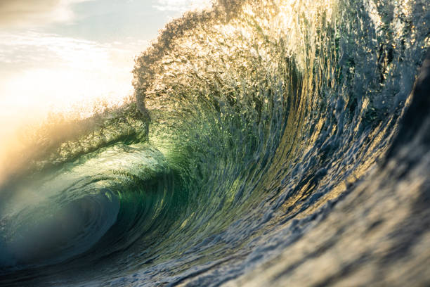 istock Backlit ocean wave breaking in bright golden morning light 1726876657
