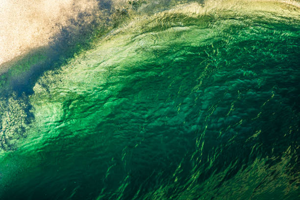 istock Close up of powerful backlit ocean wave breaking in bright golden morning light 1726877033