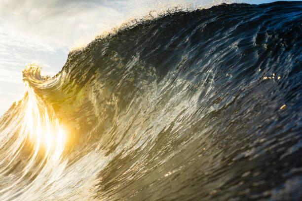 istock Close up of powerful backlit ocean wave breaking in bright golden morning light 1726877576