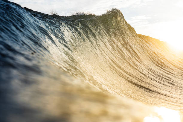 istock Backlit ocean wave forming in bright golden morning light 1726878103