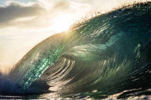 istock Backlit ocean wave breaking in bright golden morning light 1726879152