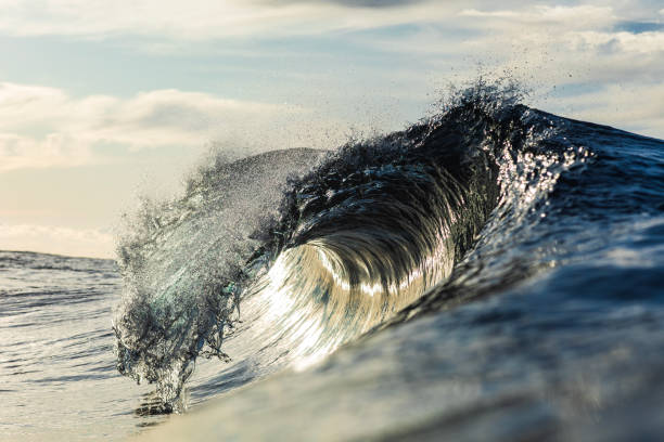 istock Backlit ocean wave breaking in bright golden morning light 1726881218