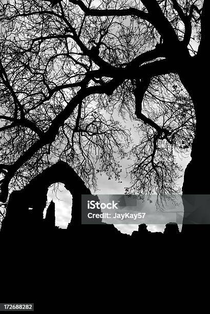 Abadia De Netley - Fotografias de stock e mais imagens de Assustador - Assustador, Abadia, Estilo Gótico