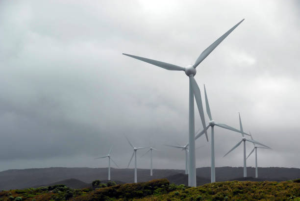 istock Wind Farm of WA 172688475