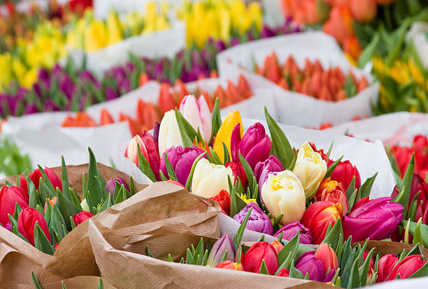 Tulips for sale outside a flower shop in Amsterdam, Netherlands.