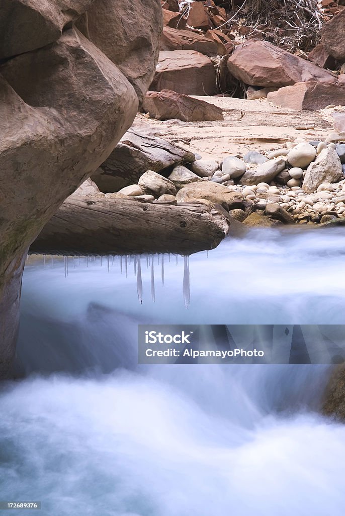 Fluxo de gelado - Royalty-free Parque Nacional de Zion Foto de stock