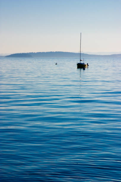 barco sobre el agua azul - sea water single object sailboat fotografías e imágenes de stock