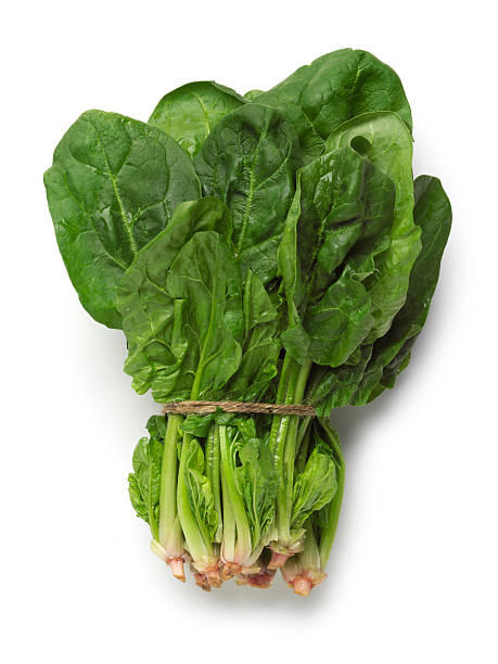 Spinach bunch isolated on white background Spinach bunch isolated on white background with soft shadow. A piece of twine is wrapped around the bunch. spinach stock pictures, royalty-free photos & images