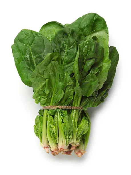 Spinach bunch isolated on white background with soft shadow. A piece of twine is wrapped around the bunch.