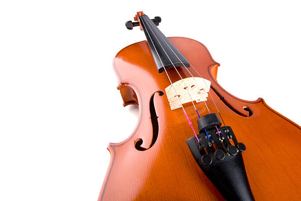 istock Violin show with a wide angle lens 172690038
