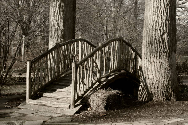 istock Arched wooden Bridge Desaturated 172690041