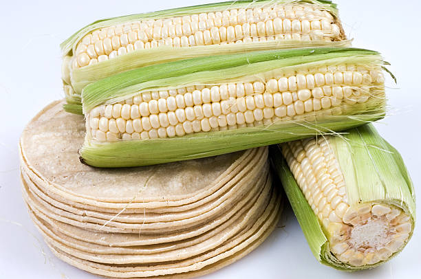 Lot of corn tortillas on white background