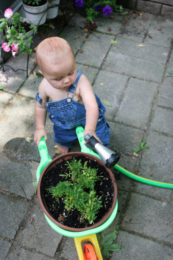 baby boy in coveralls with a wheelbarrel of flowers and garden hose