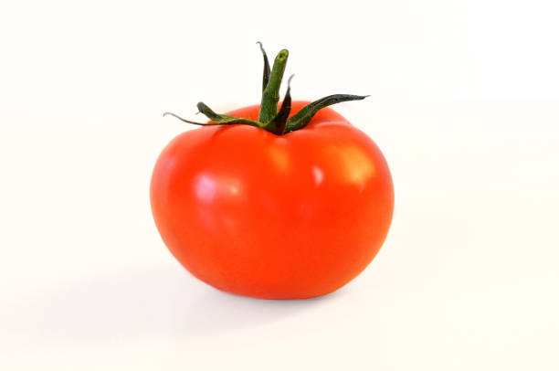Tomato stock photo