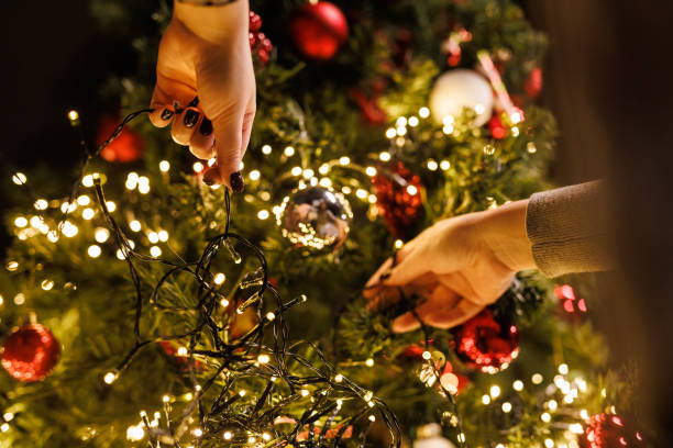 Close up shot of young woman putting woman Christmas lights on the Christmas tree that she is decorating stock photo