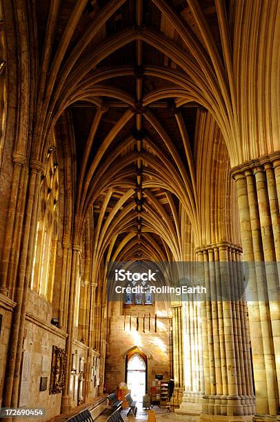 Catedral De Exeter - Fotografias de stock e mais imagens de Catedral - Catedral, Dentro, Estilo Gótico