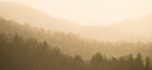 미��스티 썬라이즈 - great smoky mountains great smoky mountains national park panoramic sunrise 뉴스 사진 이미지