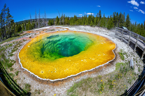 Hot spring in Yellow stone National Park in Wyoming, USA