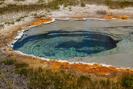 Erupting geyser at Norris Geyser Basin, Yellowstone National Park, Wyoming, USA