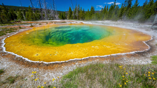 istock Hot spring in Yellow stone National Park in USA 1726908079