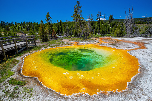 Hot spring in Yellow stone National Park in Wyoming, USA