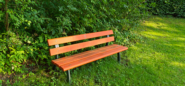 Brown wooden bench in the park. Summer sunny day. Green grass and trees. Resting and relaxing area. Empty bench for sitting. Wood exterior material