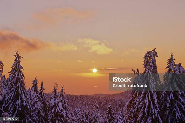 Photo libre de droit de Coucher Du Soleil banque d'images et plus d'images libres de droit de Hiver - Hiver, Nature, Arbre