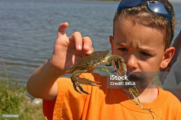 Jungen Kind Blick In Die Blue Crab In Seiner Hand Stockfoto und mehr Bilder von Chesapeake Bay - Chesapeake Bay, Krabbe, Faszination