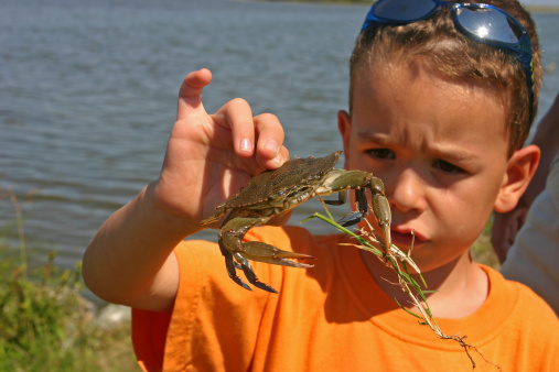 6 year old boy with self-caught blue crab.