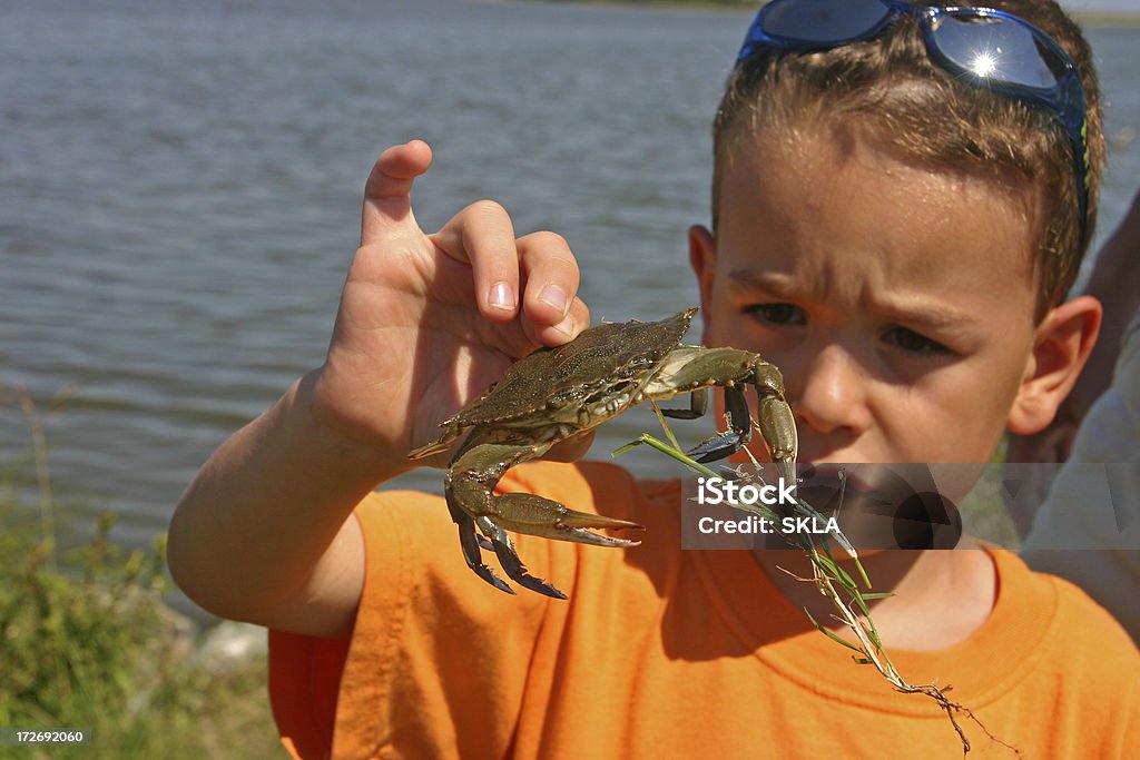 Boy/child looking at blue crab in his hand 6 year old boy with self-caught blue crab. Chincoteague Island Stock Photo