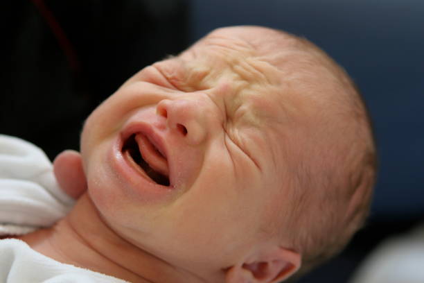 istock Newborn baby, crying 172692306