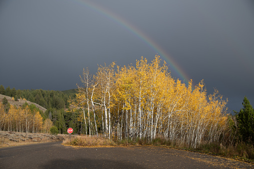 Rainbow over autumn colors along quiet road of the Grand Teton National Park of the Yellowstone Ecosystem in western USA of North America. Nearest cities are Jackson, Wyoming, Bozeman and Billings, Montana Salt Lake City, Utah, and Denver, Colorado