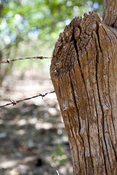istock hardwood fencepost 172692540