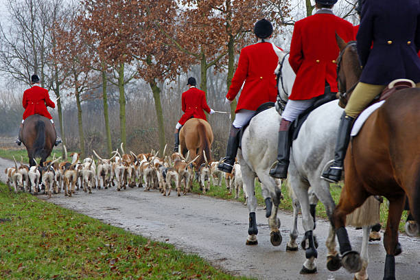 caccia alla volpe # 1 - england field autumn season foto e immagini stock