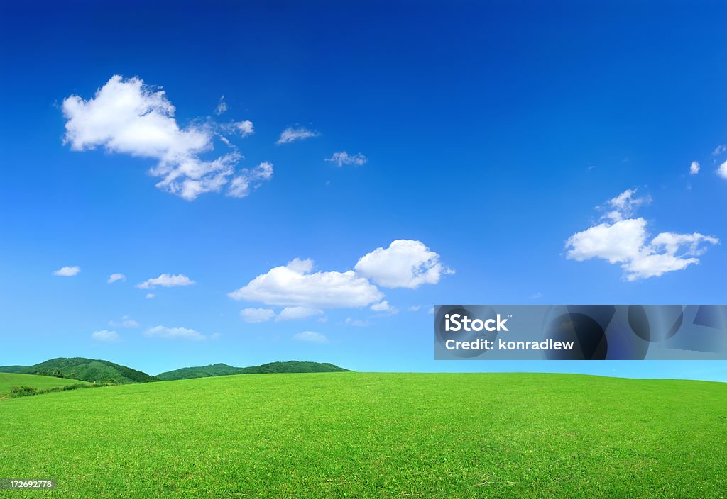녹색 풍경 - 로열티 프리 수평 구성 스톡 사진