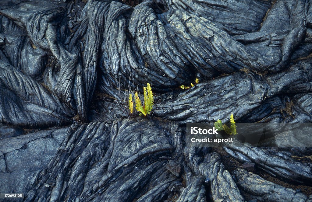 Formation s'est renforcée lave - Photo de Big Island - Îles Hawaï libre de droits